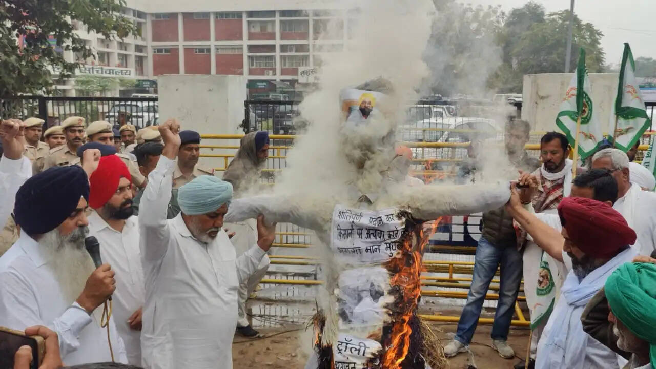 सिरसा: किसानों ने फूंका पंजाब के मुख्यमंत्री का पुतला
