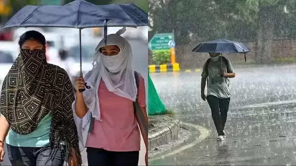 मध्‍य प्रदेश के 19 जिलों में आज बारिश का अलर्ट, तीन जिलों में चलेगी लू, बाकी में रहेगी गर्मी