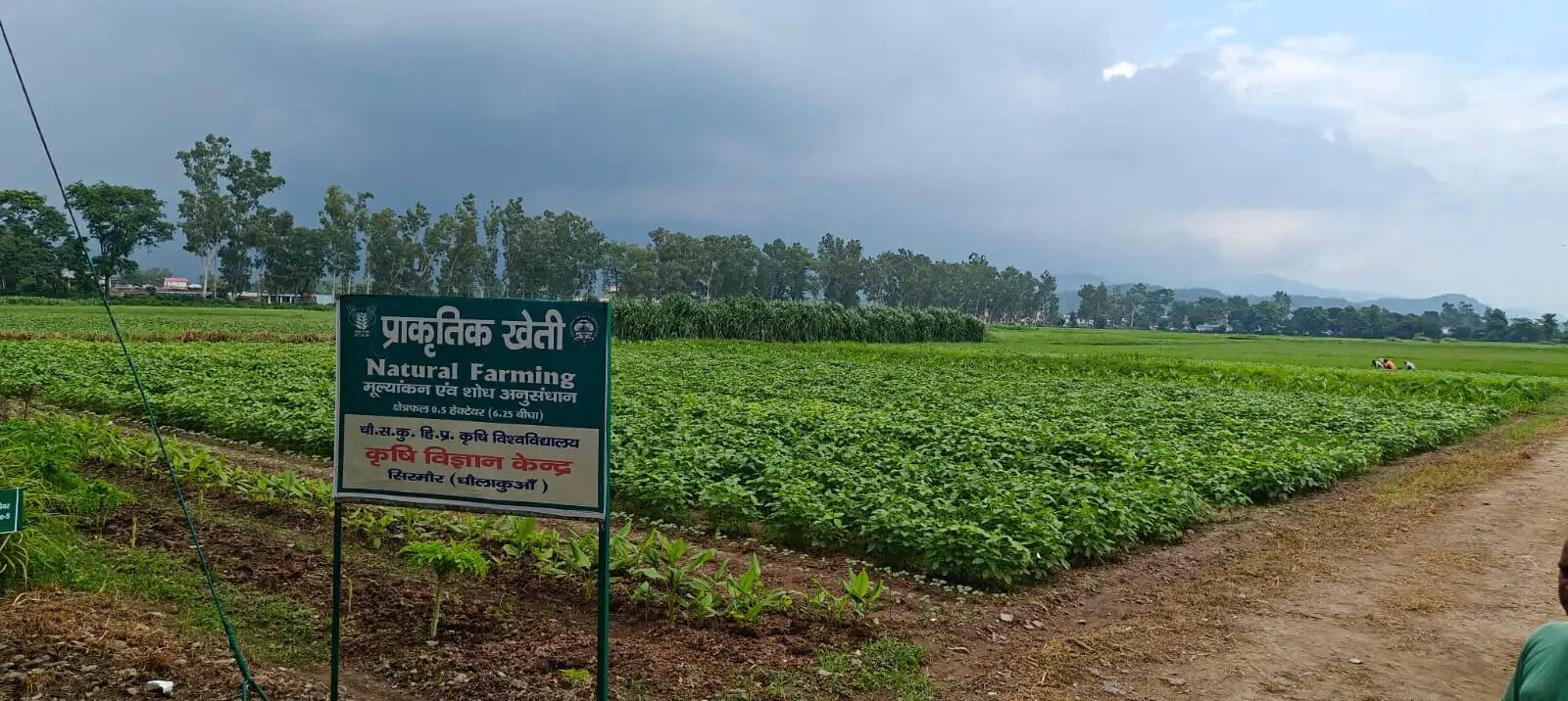 सिरमौर में शुरू हो रहा ‘खेत बचाओ अभियान’, खेतों में उतरेंगे वैज्ञानिक