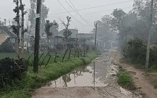 मप्र: भोपाल, इंदौर, नर्मदापुरम, रायसेन में बारिश, 27 जिलों पर दिखा पश्चिमी विक्षोभ का असर