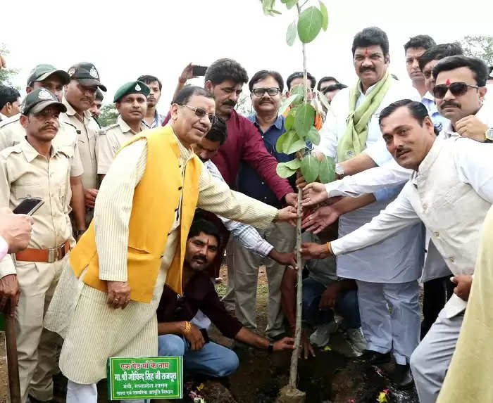 जिंदगी की सांसों के लिए पौधों का बड़ा योगदान : खाद्य मंत्री राजपूत