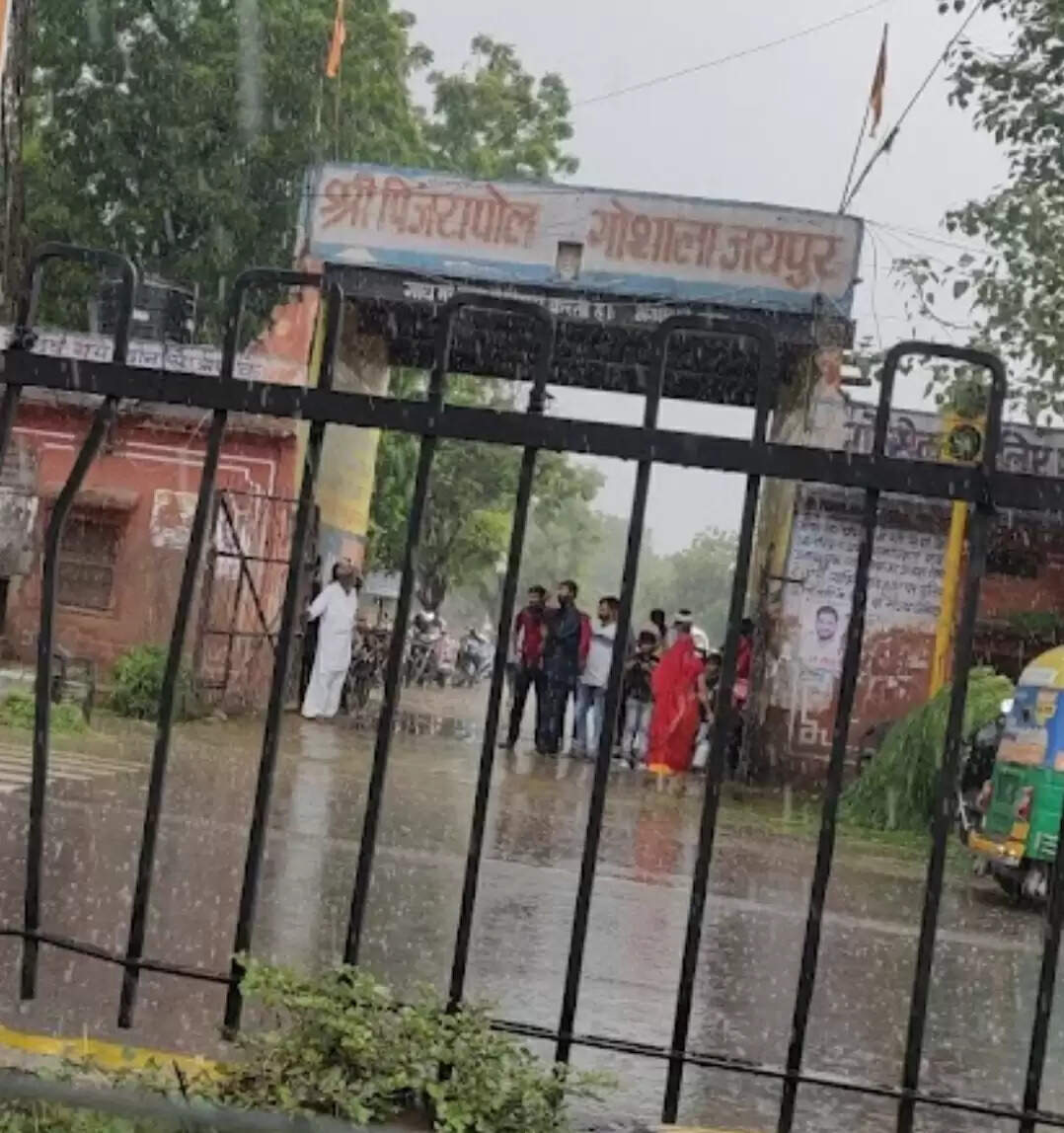 &nbsp;गोपाष्टमी महोत्सव 9 नवंबर को: पिंजरापोल गौशाला में सजेगी गोवर्धन पर्वत की झांकी