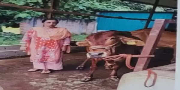 समृद्धि की राह दिखा रही योगी सरकार की नंदिनी कृषक समृद्धि योजना