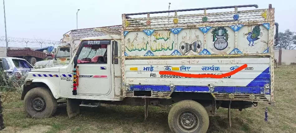 मवेशी तस्करी की बड़ी कोशिश नाकाम, एक पिकअप जब्त