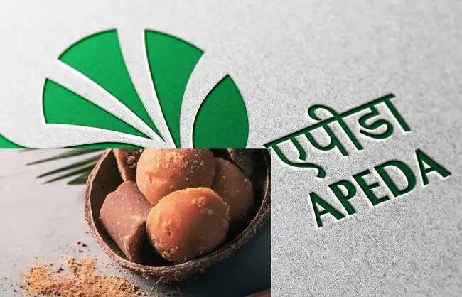 भारत का पारंपरिक ताड़ का 1.755 मीट्रिक टन गुड़ पाउडर बुल्गारिया के बाजार में पहुंचा