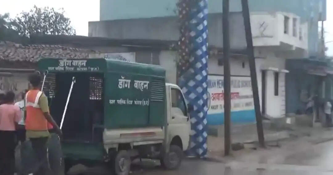 कोरबा में आवारा कुत्तों के हमले में पांच वर्षीय मासूम की मौत, आयुक्त ने पीड़ित परिवार से की मुलाकात