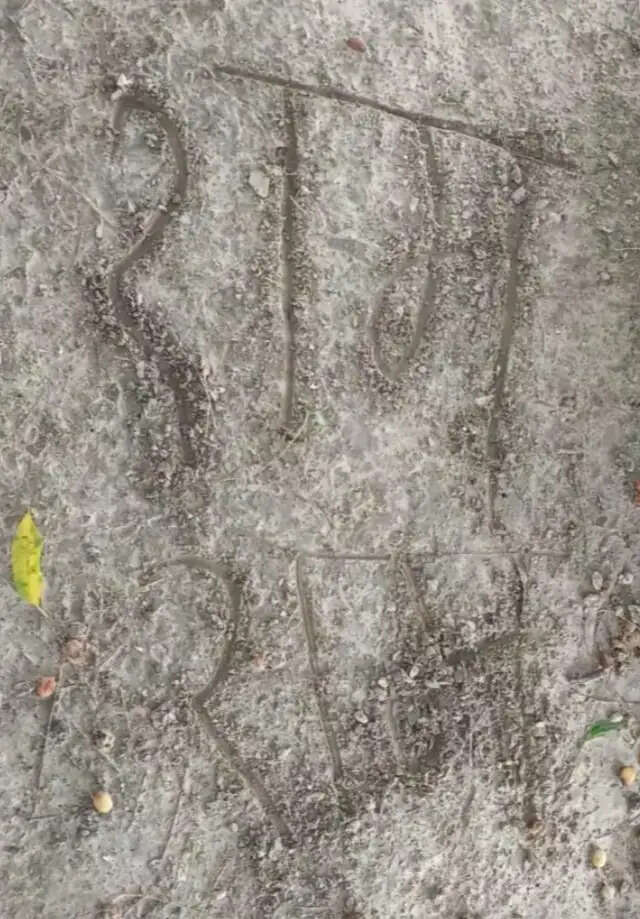मिट्टी पर 'राम-राम' लिखने के बाद युवक ने बाग में फंदा लगाकर दी जान
