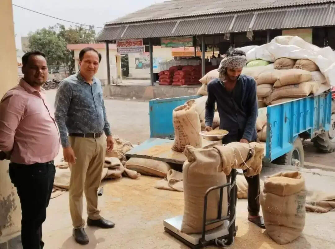 हाथरस : मंडी के क्रय केंद्रों पर हुई 1375 कुंतल गेहूं की खरीद
