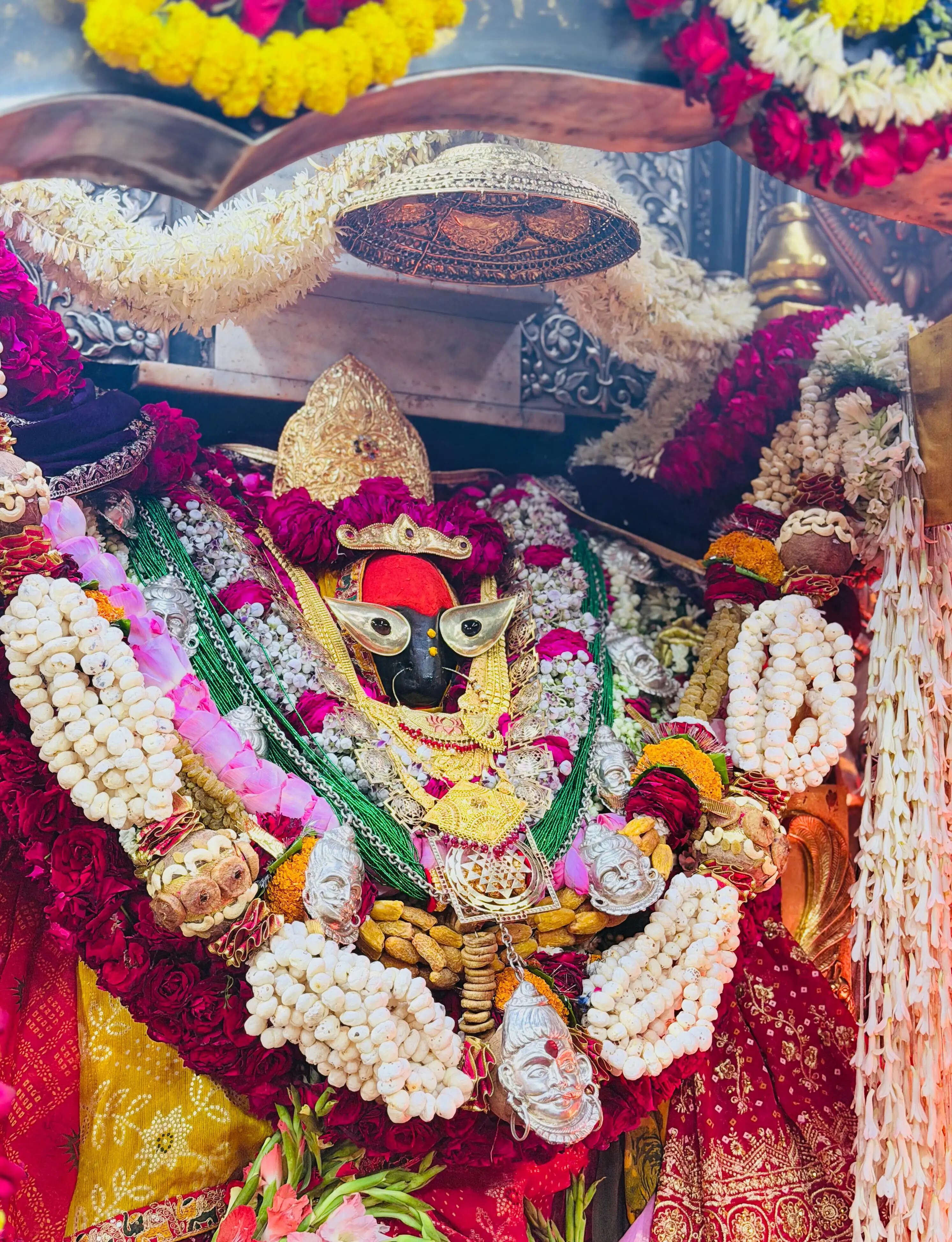 सप्तमी पर विंध्य धाम में उमड़ा जनसैलाब, कालरात्रि दर्शन को चार लाख श्रद्धालु पहुंचे