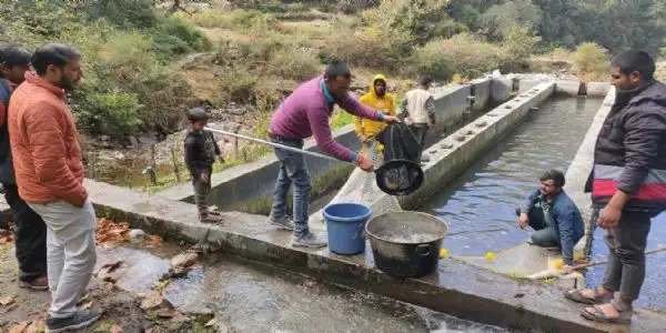 चमोली के काश्तकारों को मछली बीज उत्पादन के लिए आत्मनिर्भर बना रहा मत्स्य विभाग