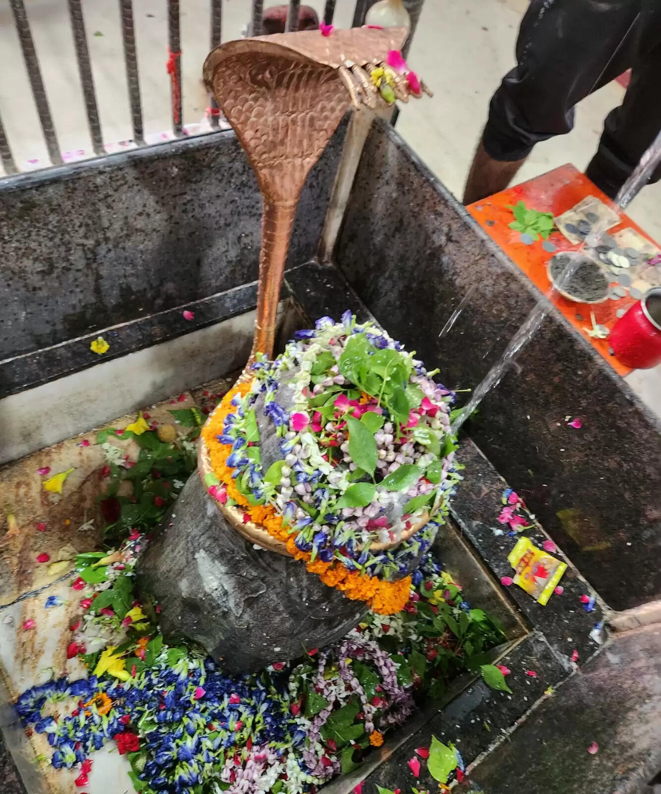 त्रिलोचन महादेव मंदिर : यहीं महादेव ने तीसरा नेत्र खोलकर भस्मासुर को किया था भस्म