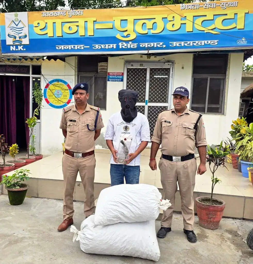 एसओटीएफ कुमाऊं व पुलभट्टा में डोडा पाउडर व तमंचे के साथ नशा तस्कर गिरफ्तार