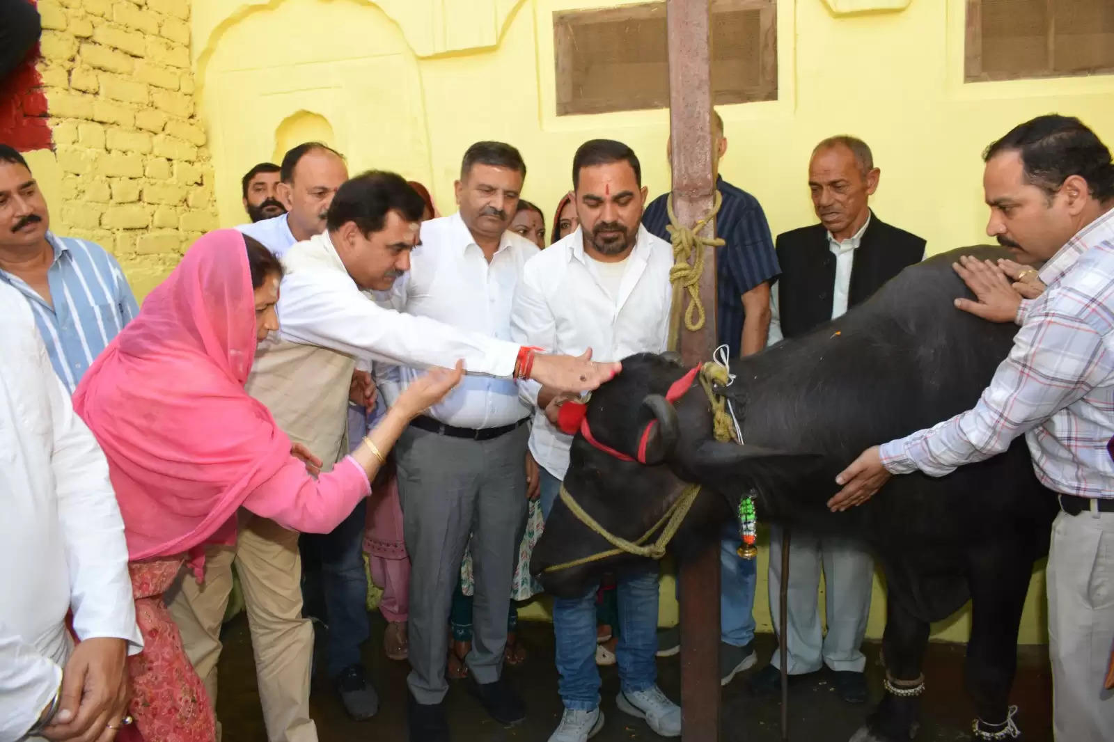 झोटा पूजन के साथ तीन दिवसीय राज्य स्तरीय सायरोत्सव का हुआ शुभारम्भ