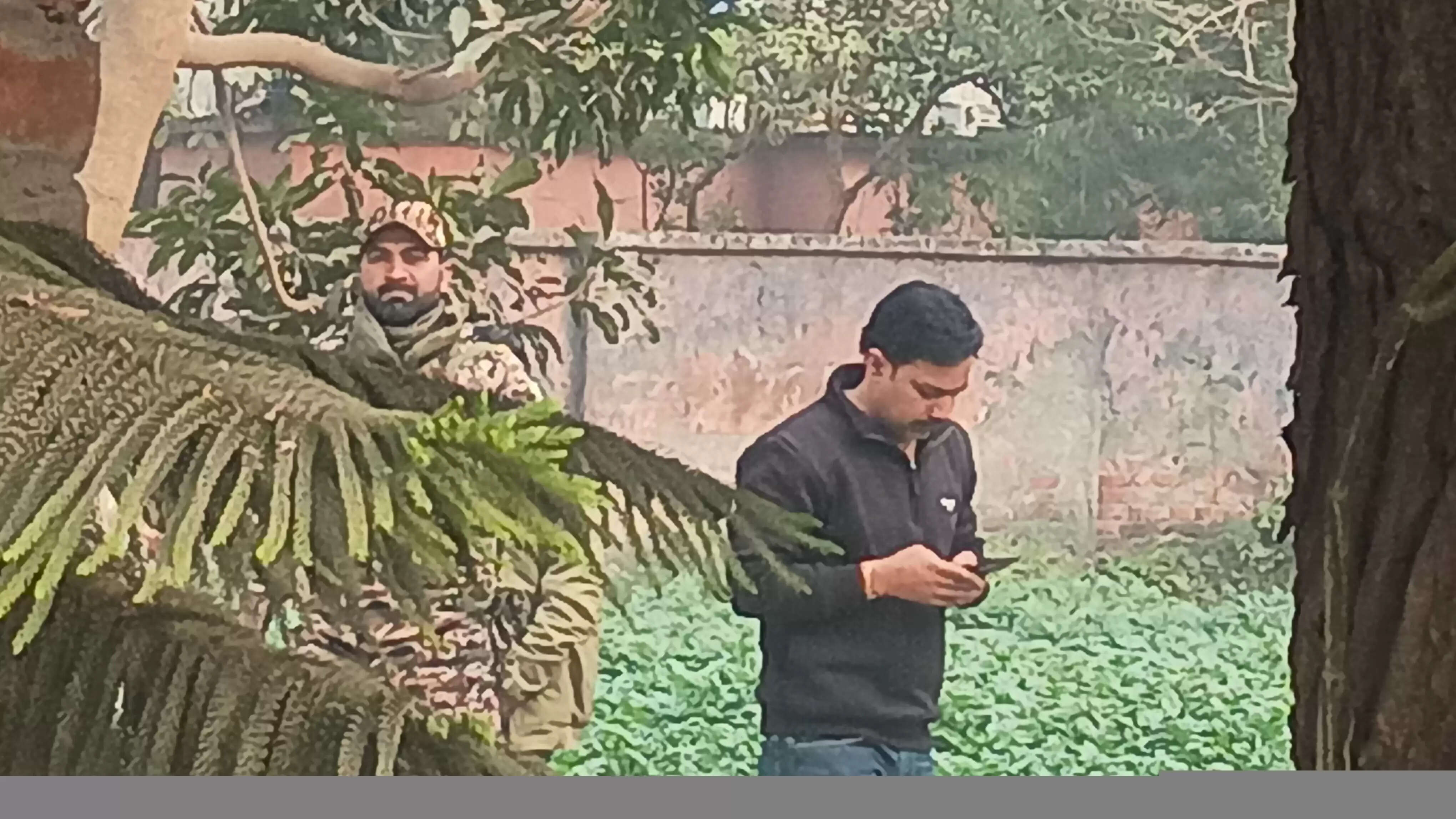 जौनपुर में कोडीन कफ सिरप की अवैध बिलिंग मामले में ईडी ने की कार्रवाई