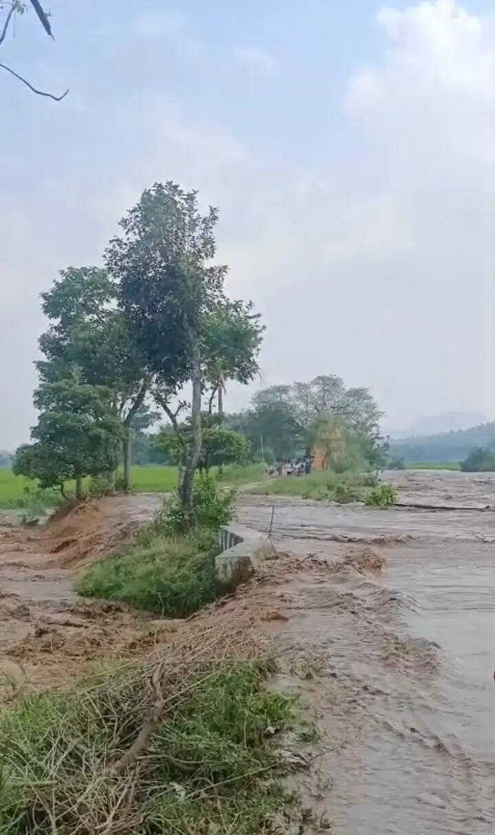 खेरबैड़ा डैम टूटने से खेतों में घुसा पानी, फसलें बर्बाद, मुआवजे की मांग