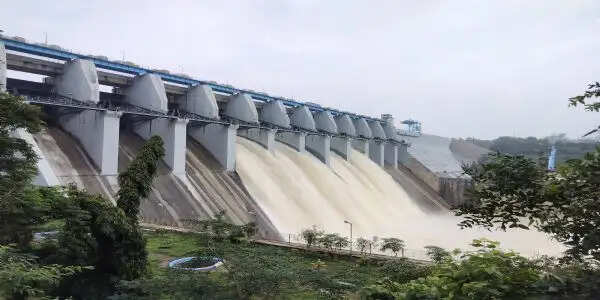 बांगो बांध का जलस्तर 358.77 मीटर पहुंचा, पांच गेटों से 31,529 क्यूसेक पानी हसदेव नदी में छोड़ा जा रहा