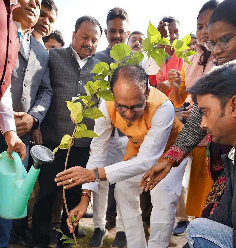 मप्रः पूर्व मुख्यमंत्री शिवराज ने मैकल रिजार्ट में पर्यावरण प्रेमियों के साथ किया पौधरोपण