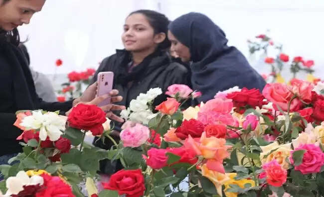 फूलों के राजा गुलाब की महक से 9 से 11 जनवरी तक महकेगी मप्र के राजधानी