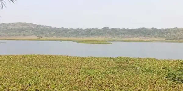 मप्र के विदिशा जिले का कागपुर क्षेत्र पक्षी कंजर्वेशन रिजर्व घोषित