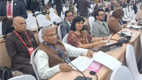 तंजानिया में भारत का आईपीयू सभा में पाकिस्तान को जवाब, कश्मीर भारत का अभिन्न और अविभाज्य हिस्सा