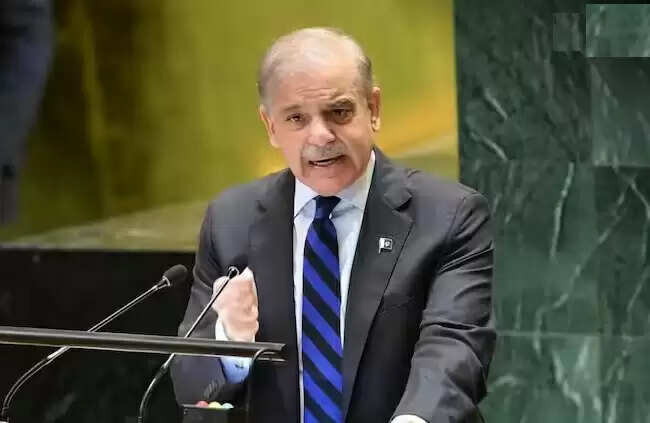 भारतीय वायुसेना की एयर स्ट्राइक पर भड़के पाक पीएम शाहबाज शरीफ, कहा- भारत को भुगतने होंगे नतीजे