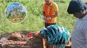 वार्षिकी : कई महत्वपूर्ण सामाजिक, राजनैतिक व आर्थिक घटनाओं का साक्षी बना छत्तीसगढ़ का रजत वर्ष