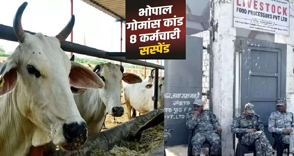 भोपाल स्लॉटर हाउस गौमांस प्रकरण में जांच तेज, अब तक 8 नगर निगम कर्मचारी निलंबित