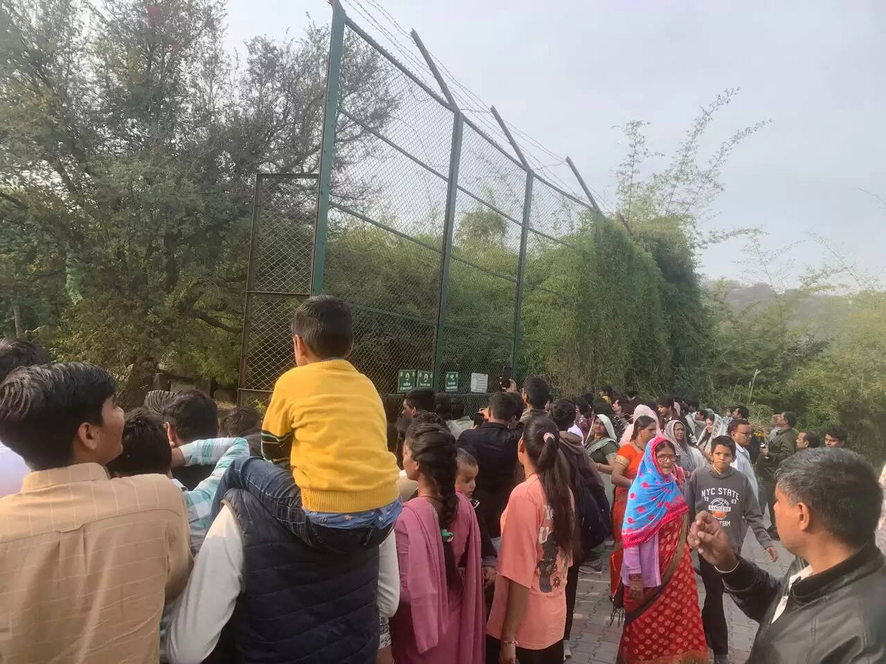 नाहरगढ़ जैविक उद्यान में टाइगर व लायन सफारी बनी आकर्षण का केंद्र