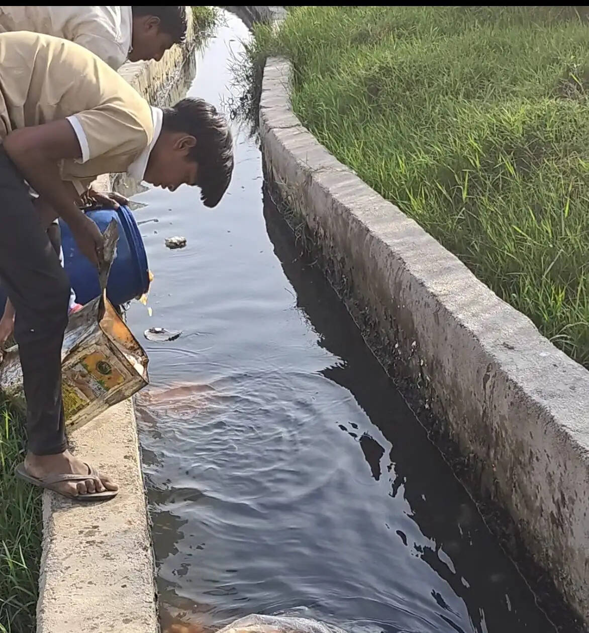 औरैया में 38,800 रुपये कीमत की दूषित मिठाई नष्ट, जंग लगे कनस्तर में रखे थे रंगीन रसगुल्ले