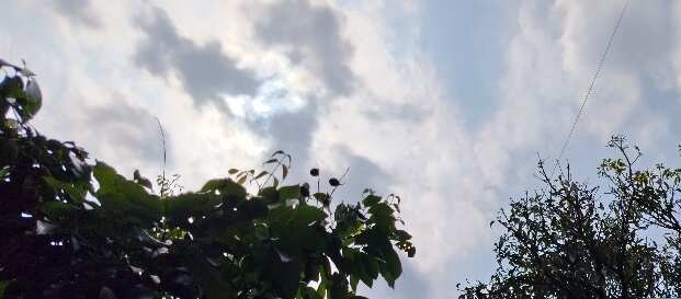 उत्तराखंड के आठ जिलों में हल्की बारिश और ऊंचाई वाले क्षेत्रों में बर्फबारी की संभावना