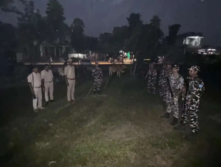 एसएसबी और कुआड़ी पुलिस की संयुक्त कार्रवाई में तस्करी के 11 मवेशी जब्त