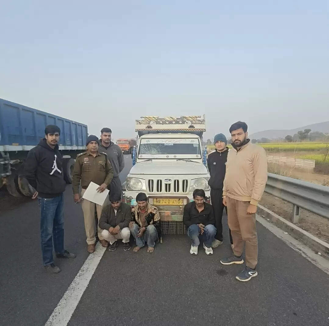 फिरोजपुर झिरका में तीन गो-तस्कर गिरफ्तार