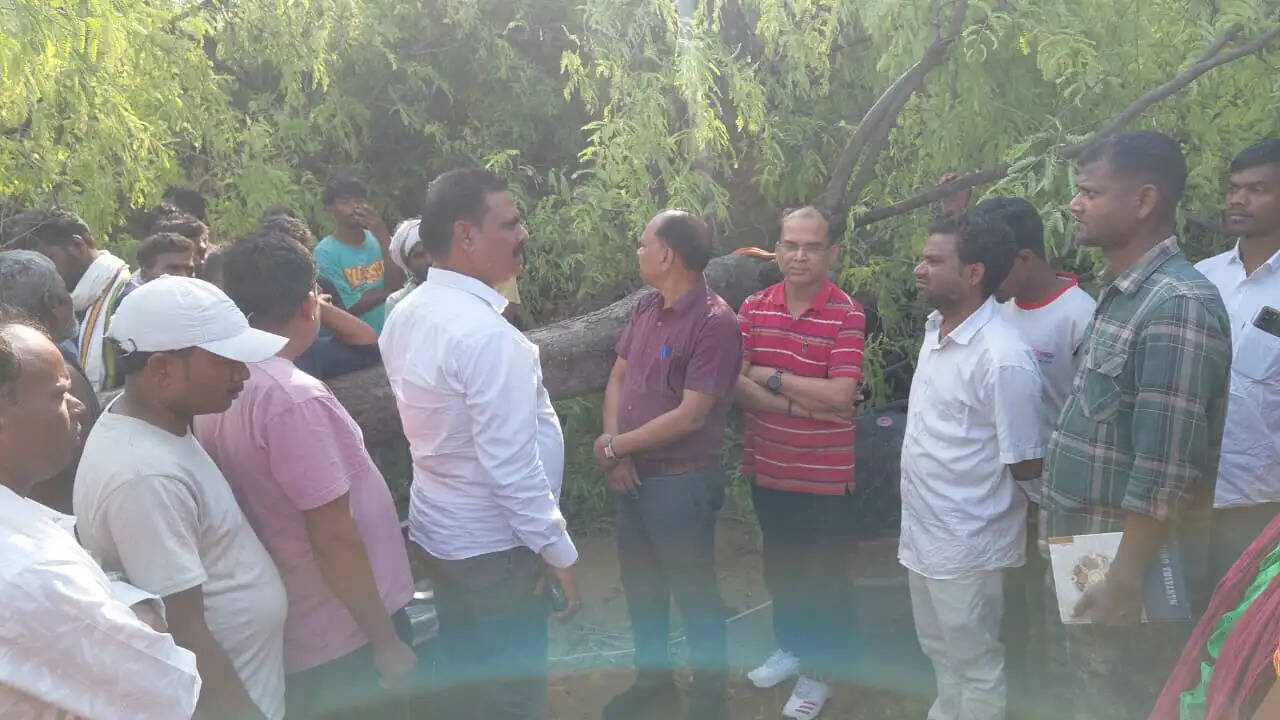 घर पर गिरा पेड़, महिला की मौत