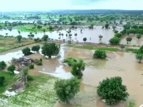 जोधपुर में रिमझिम बारिश का दौर जारी