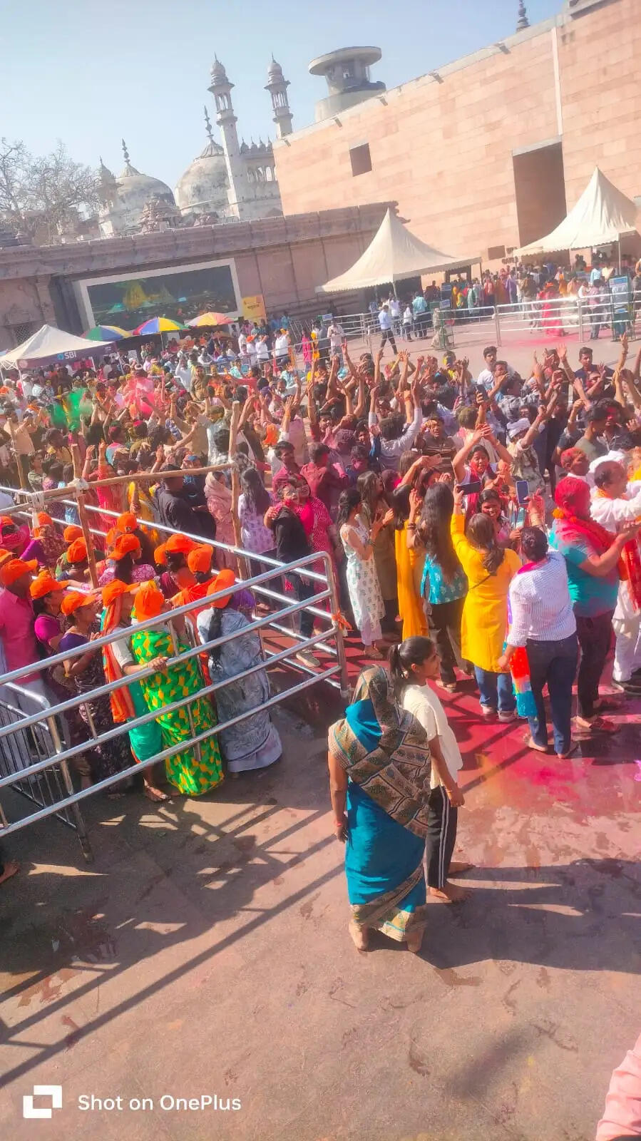 रंगभरी एकादशी: बाबा विश्वनाथ, माता गौरा और प्रथमेश का विशेष पूजन