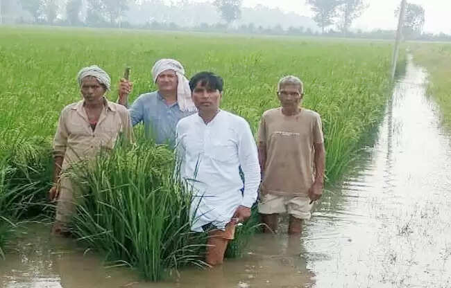 सोनीपत: ड्रेन टूटने से सैकड़ाें एकड़ फसल जलमग्न, किसानाें ने मांगा मुआवजा