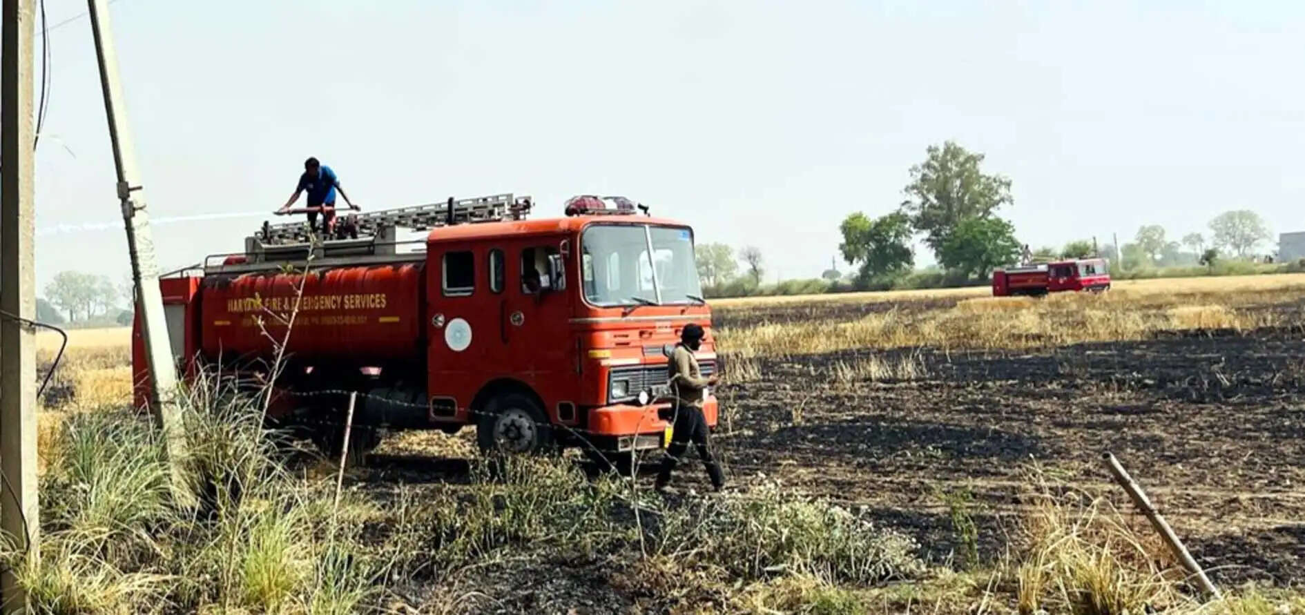 हिसार : बिजली तारों से निकली चिंगारी से गेहूं के खेत में लगी आग