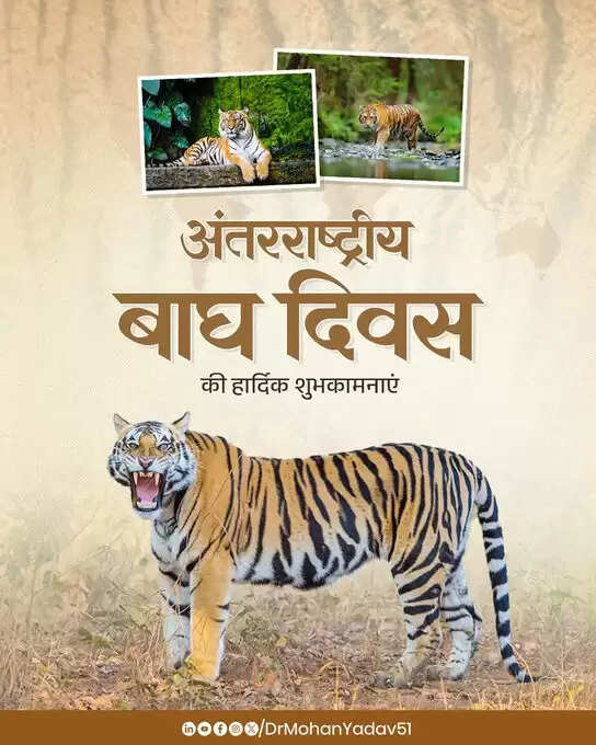मुख्यमंत्री&nbsp;डाॅ.&nbsp;यादव&nbsp;ने&nbsp;अंतरराष्ट्रीय बाघ दिवस&nbsp;पर&nbsp;दी&nbsp;बधाई,&nbsp;कहा:&nbsp;एमपी&nbsp;का&nbsp;टाइगर स्टेट&nbsp;हाेना&nbsp;गाैरव