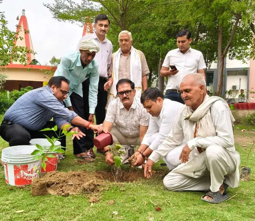 विश्व पर्यावरण दिवस पर केएम विश्वविद्यालय परिवार ने किया पौधरोपण
