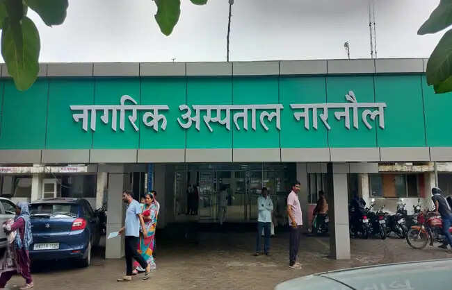 नारनाैल में बिजली लाइन पर काम करते समय युवक की गिरने से मौत
