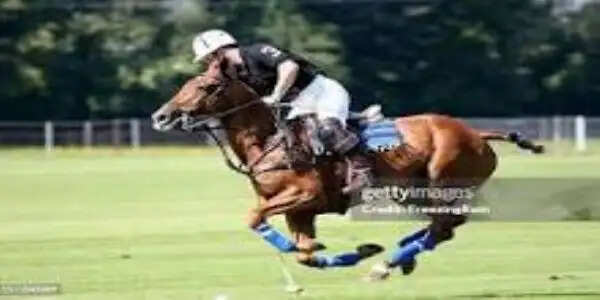 महाराजा राष्ट्रीय साइकिल पोलो कप 15 नवंबर से, 15 साल बाद जोधपुर में एक साथ होंगे तीन राष्ट्रीय कप