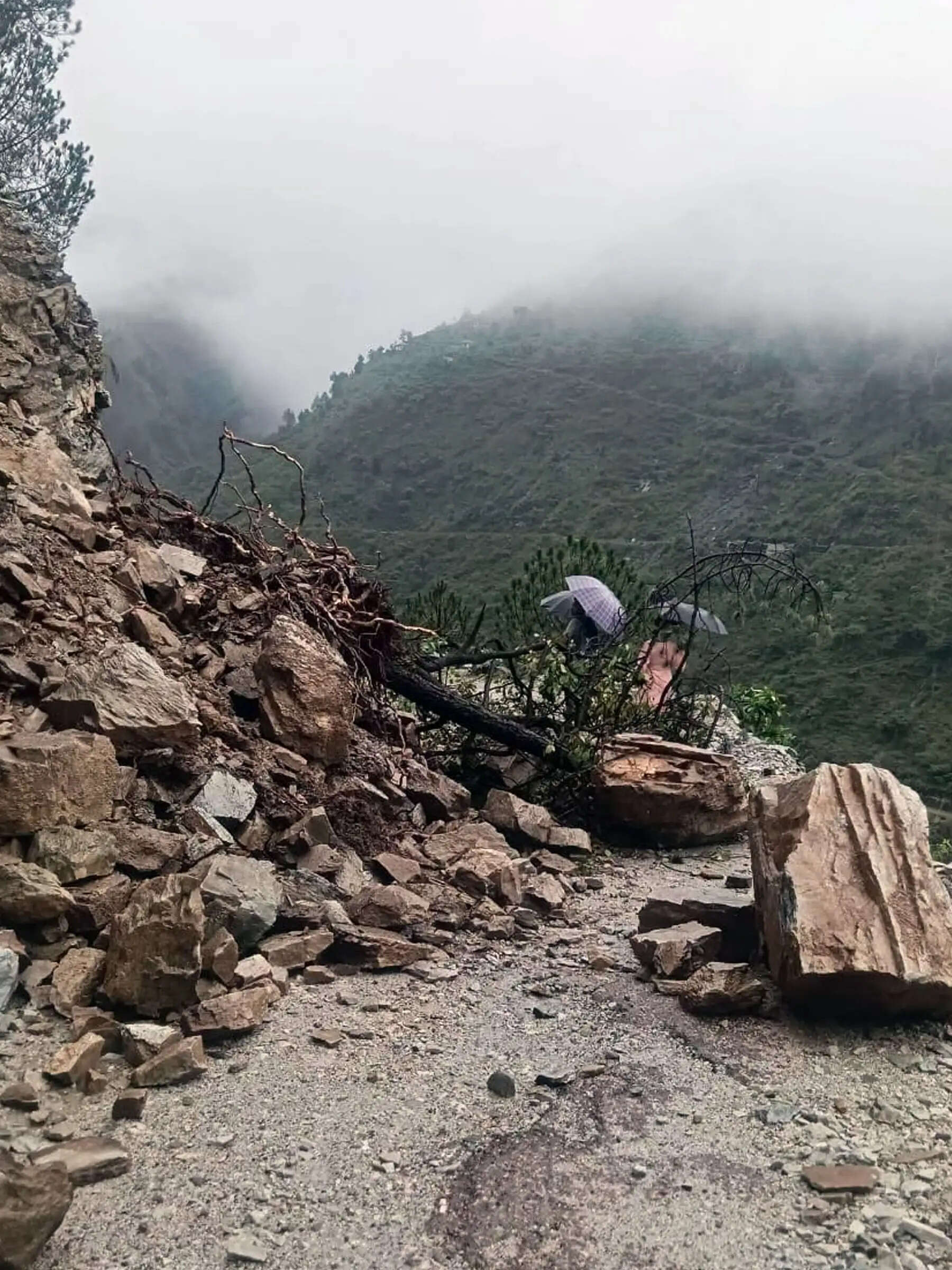 बारिश का रंग : मंडी पठानकोट मार्ग पर भारी भूसख्लन से आवाजाही रूकी, ब्यास में बढ़ गया जल स्तर