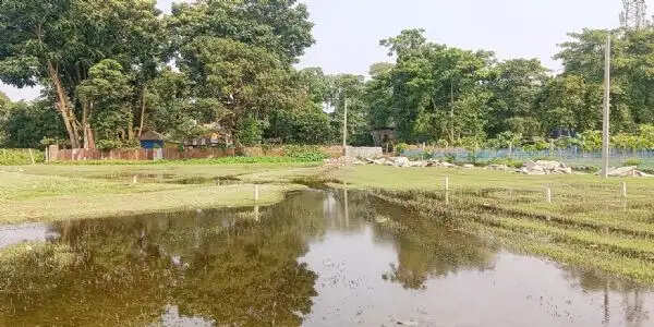 नाला निर्माण में लापरवाही से जलजमाव, महामारी की आशंका