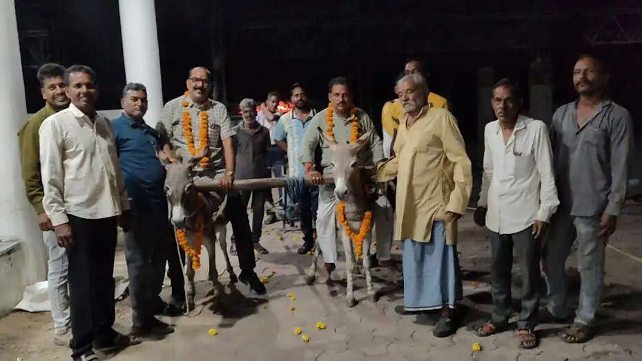 मंदसौरः अच्छी बारिश की आस में किया अनोखा यत्न- वार्ड 26 चंद्रपुरा के नागरिकों ने श्मशान घाट में की बुवाई