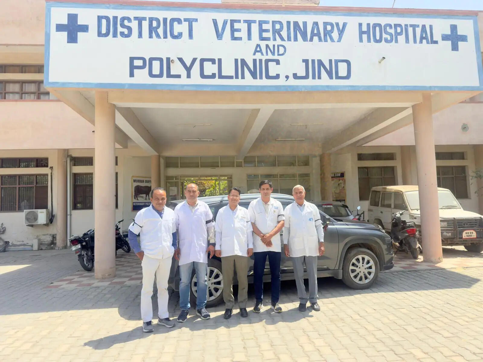 जींद : पशु चिकित्सकों ने काले बिल्ले लगाकर किया काम