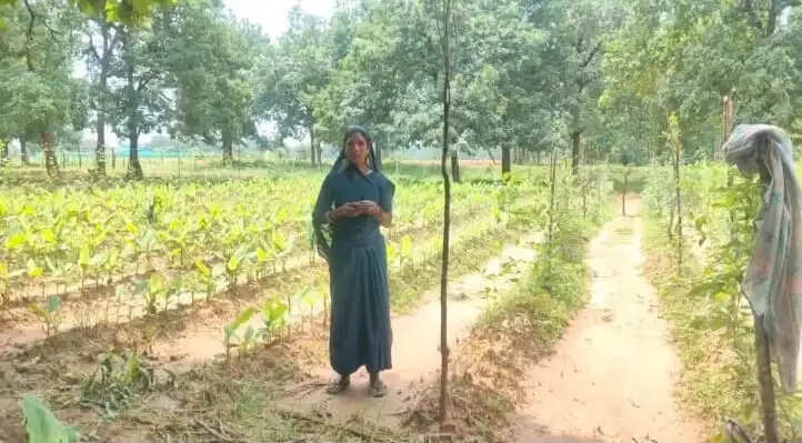 25 किसानों ने 35 एकड़ में बदली खेती की तस्वीर, समेकित खेती से समृद्धि की ओर कदम
