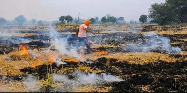 फतेहाबाद: पराली जलाने के आरोप में आठ किसानों पर एफआईआर