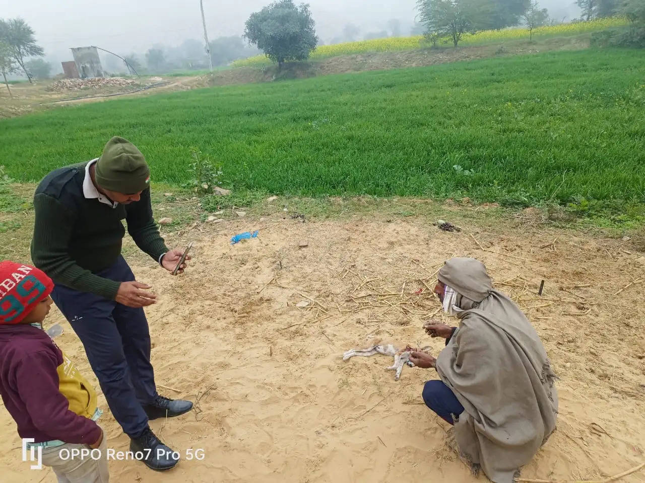 बानसूर के गढ़ी गांव में पैंथर ने किया घर में बंधी बकरियों का शिकार, ग्रामीणों में दहशत