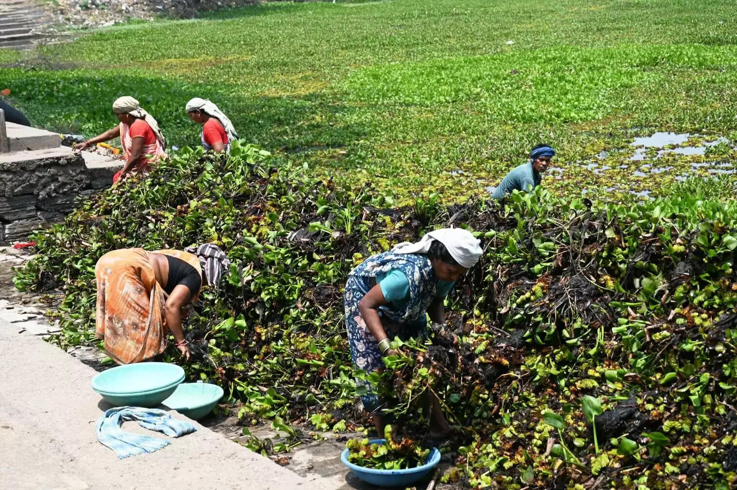 जांजगीर चांपा: रामबांधा तालाब की सफाई अभियान शुरू, कलेक्टर के निर्देशन में व्यापक पहल