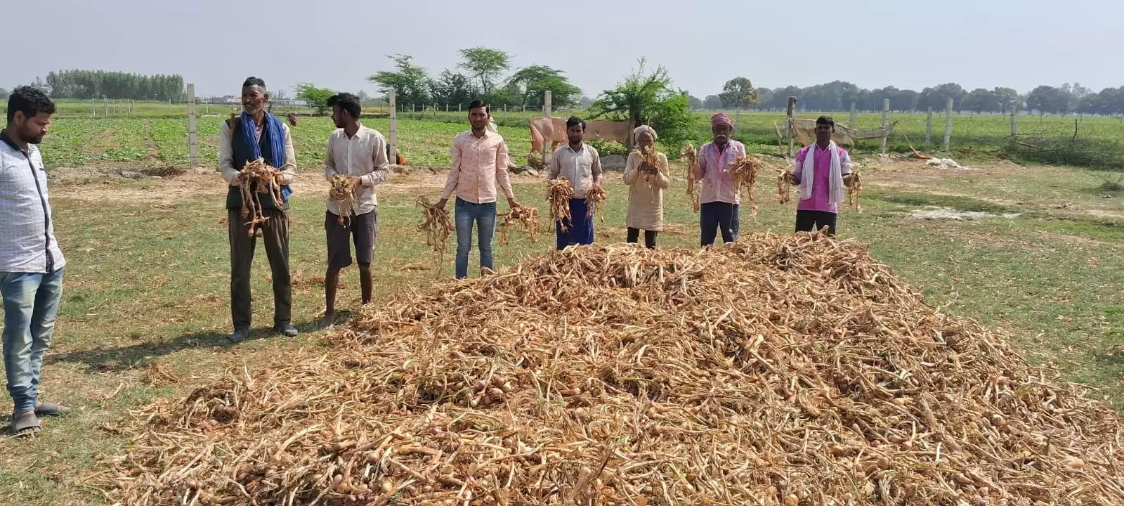 नकली बीज बिक्री कर कलश सीड्स कंपनी ने किसानों से की धोखाधड़ी, फसल हुई बर्बाद